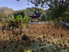 -丝绸小镇荻港古村