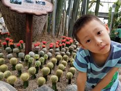 -南山植物园