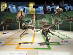 -国家自然博物馆