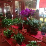 喜庆新春