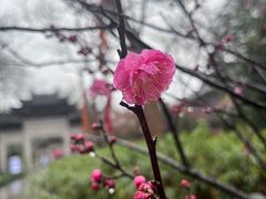 -钱王祠