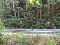 -湖洞水自然风景区