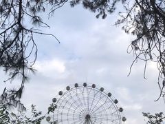 -田野绿世界