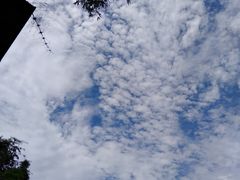 -西南民族大学南区(双流校区)