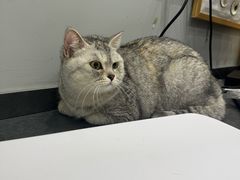 -派特宠物医院(圆融广场店)