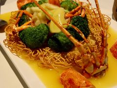 龙虾伊面-申粤轩酒楼·三十年粤菜经典(丁香花园店)
