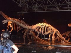 -世界恐龙谷景区