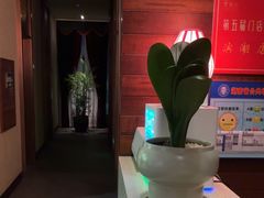 -泽云梵莲花足浴 按摩 SPA(滨湖店)