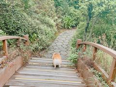 -桃花岛景观公园