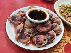 毛蚶-红灯笼龙凤饭店(宁波老字号店)