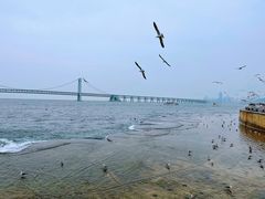 -星海广场