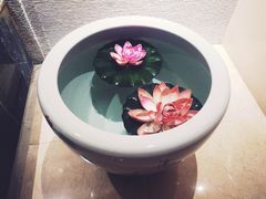 -壹号港湾