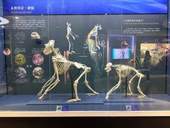 -国家自然博物馆