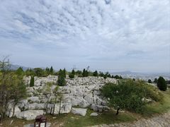 -原山国家森林公园