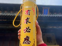 -普陀山慧济禅寺