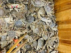 -初色海鲜自助(万丰路店)