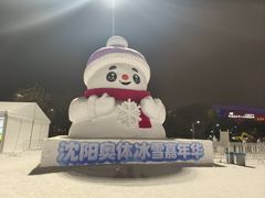 -沈阳奥体冰雪嘉年华