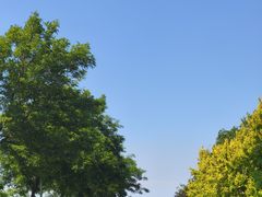 -辽宁团山国家级海洋公园