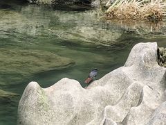 -马岭河峡谷风景区