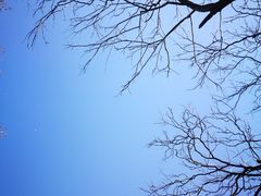 -杭州西湖风景名胜区-钱塘苏小小之墓