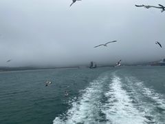 -海驴岛(荣成市)
