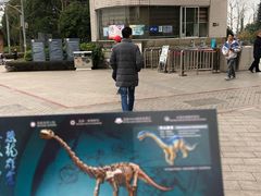 -自贡恐龙博物馆