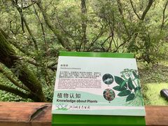 -西湖风景区-江洋畈生态公园