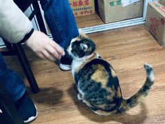 -新梅居(宁海东路店)