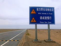 -敦煌古城
