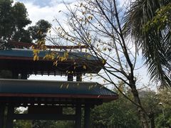 -仙岳公园