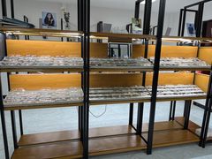 -五派眼镜(沙河店)