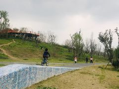 -白鹭湾湿地公园