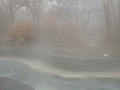 -东海森林温泉度假酒店