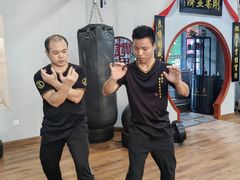 -温鉴良实用咏春拳
