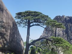 -黄山风景区