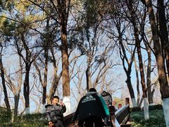 -咸宁万豪温泉谷度假区