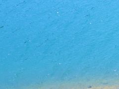 -广州市流溪河国家森林公园