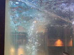 -九洲喜来登酒店湖月日餐厅