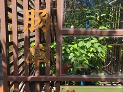 -广州神农草堂中医药博物馆