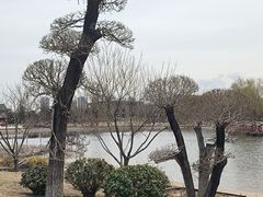 -西海子公园