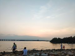 -宝安西湾红树林湿地公园