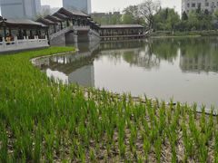 -西海子公园