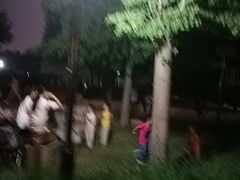 -玲珑塔公园