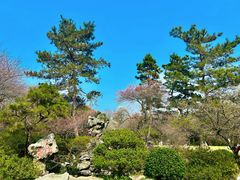 -杭州植物园