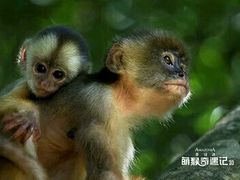 -金逸影城(联发广场店)