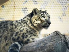 -青藏高原野生动物园