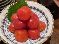 -鸟鹏烧鸟居酒屋(天河领展店)