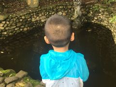 -天龙八部武侠城