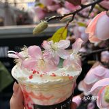 今日收获一杯天津的春日限定