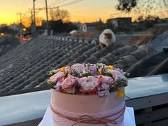 -5Cake五度无蔗糖低脂蛋糕(陶然亭店)